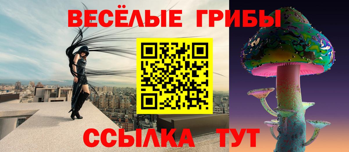 Галлюциногенные грибы Psilocybe  Вход с VPN  Шадринск 