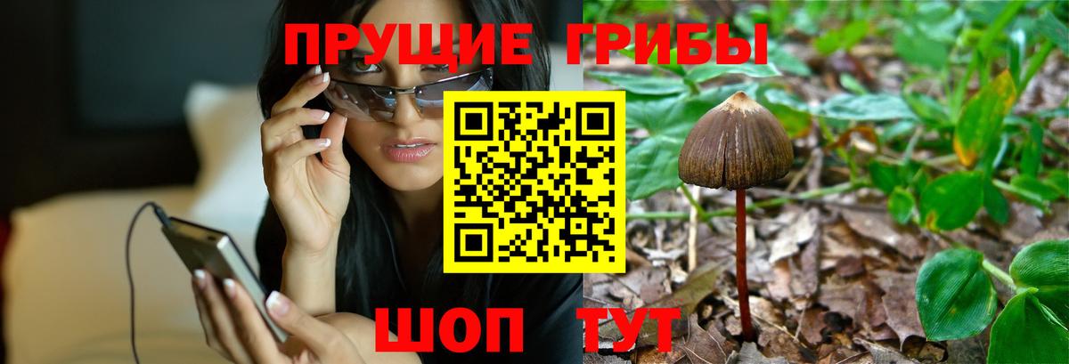 Псилоцибиновые грибы прущие грибы Шадринск